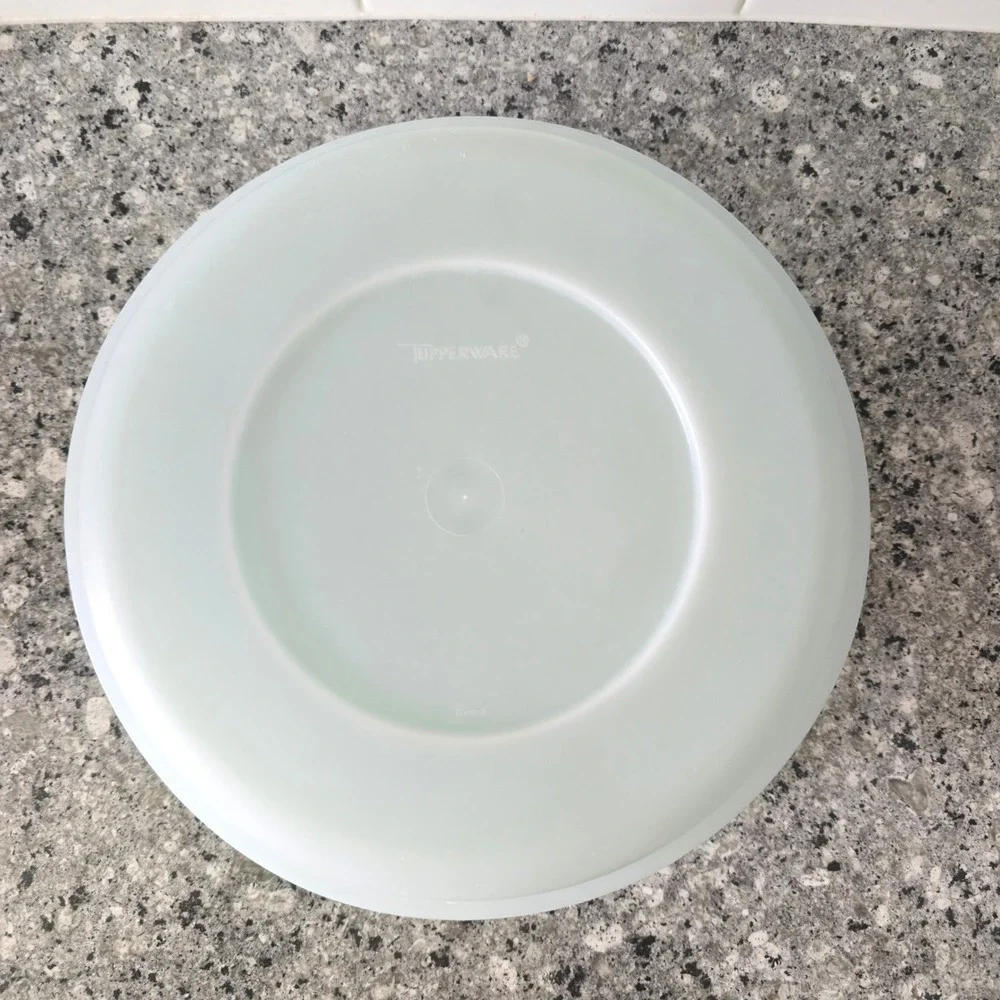 Tupperware Serving Tray 5 Compartment Teal Green Frosted Lid 11